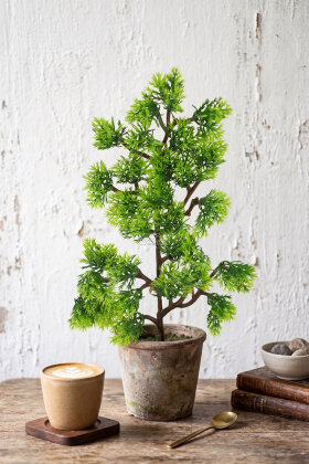 Yapay Bitki Dekoratif Arborvitae Dalı 35 cm Yeşil - 2