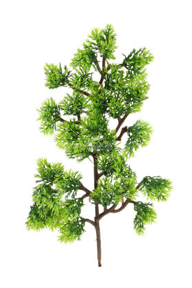 Yapay Bitki Dekoratif Arborvitae Dalı 35 cm Yeşil - 3