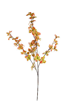 Yapay Bitki Dekoratif Kızılcık Dalı 85 cm Kızıl-Yeşil - 3