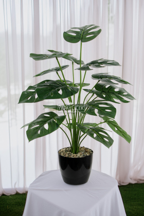 Yapay Devetabanı Ağacı(monstera bitkisi) 18 Yapraklı Siyah Saksıda 80 cm - 2