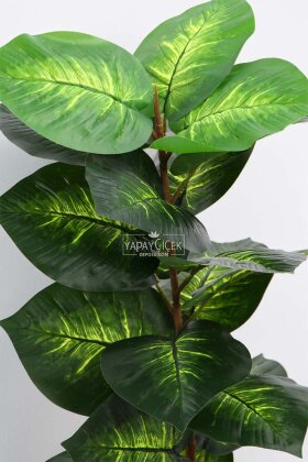 Yapay Bitki 23 Yapraklı Golden Vein 70 cm Yeşil - 5