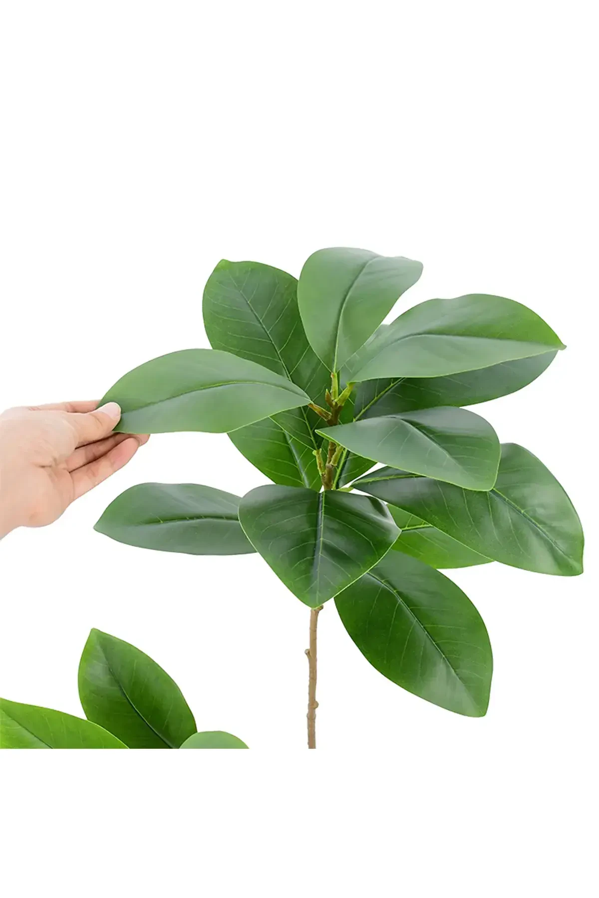 Yapay Ağac Kauçuk Bitkisi Dalı 85 cm (Saksısız) - 2