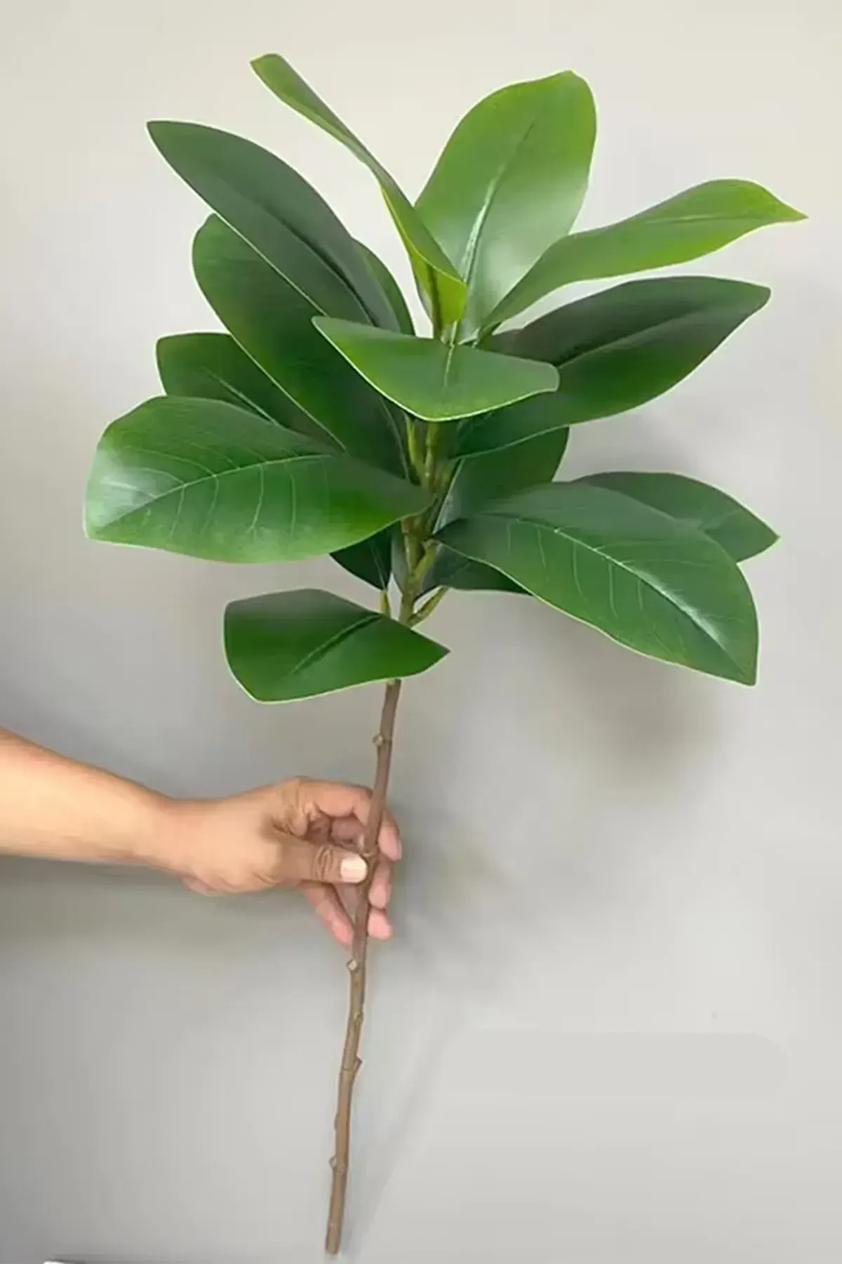 Yapay Ağac Kauçuk Bitkisi Dalı 85 cm (Saksısız) - 1