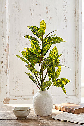 Yapay Bitki Modern Botanik Kraton Bitkisi 40 cm Yeşil-Sarı - 2