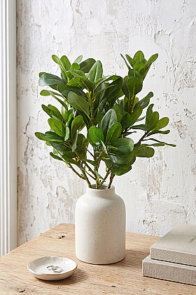 Yapay Bitki Modern Botanik Kraton Bitkisi 40 cm Yeşil - Yapay Çiçek Deposu