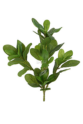Yapay Bitki Modern Botanik Kraton Bitkisi 40 cm Yeşil - 3