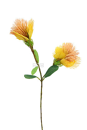 Yapay Bitki Pincushion Dalı 55 cm Turuncu-Sarı - 3