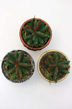 Mini Antik Beton Meşale Saksıda Yapay Yeni Succulent 3lü Set - 4
