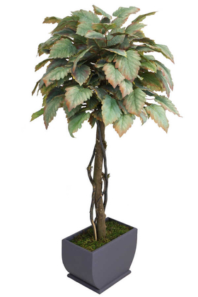 Yapay Bodur Ceviz Ağacı Hazan 150cm - 2
