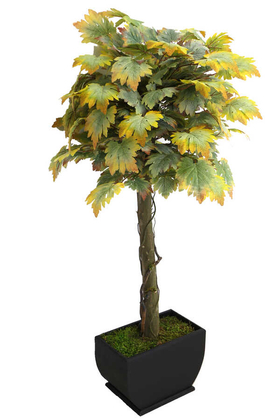 Yapay Bodur Ceviz Ağacı Sonbahar 150cm - 3