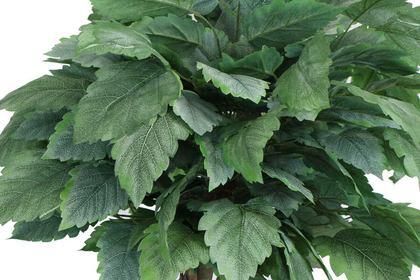 Yapay Bodur Ceviz Ağacı Yeşil-Gri 150cm - 4