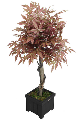 Yapay Bodur Çınar Ağacı 110 cm Cappuccino - 2