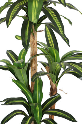 Metal Saksıda Yapay Ağaç 4 Gövdeli Cordyline 180 cm - 3