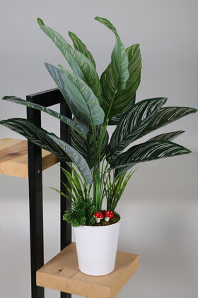 Dekoratif Beyaz Mika Saksıda Calathea Majestica Bitki Tanzimi 70 cm - Yapay Çiçek Deposu
