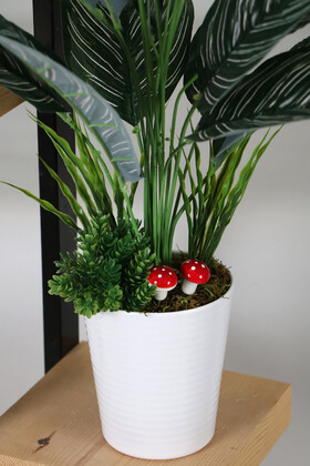 Dekoratif Beyaz Mika Saksıda Calathea Majestica Bitki Tanzimi 70 cm - 3