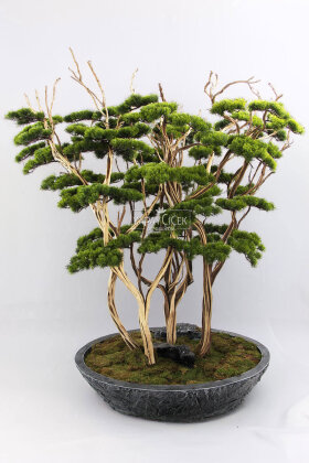 Yapay Ağaç Dev Çanak Saksıda Bonsai Ağacı 195 cm Yeşil - 2