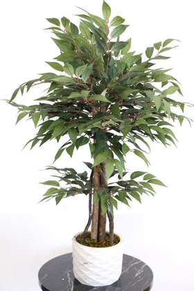Yapay Bonsai Ağacı Ficus Ginseng 75 cm - Yapay Çiçek Deposu