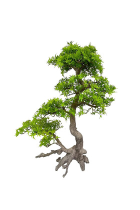 Yapay Lüx Bonsai Ağacı 90 cm KC-3578 - Koçaklar Çiçekçilik