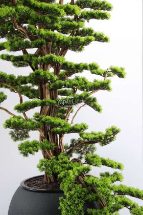 Yapay Ağaç Siyah Saksıda Bonsai Ağacı 235 cm Yeşil - 3