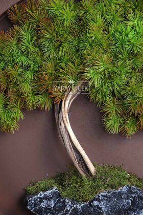 Yapay Premium Kiora Bonsai Ağacı Tablo 70x70 cm Yeşil - 3