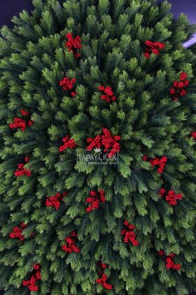 Yapay Premium Kokinalı Nirae Bonsai Ağacı Tablo 106x170 cm Yeşil - 3