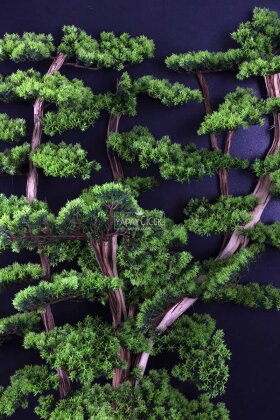 Yapay Premium Sylin Bonsai Ağacı Tablo 106x170 cm Yeşil - 3