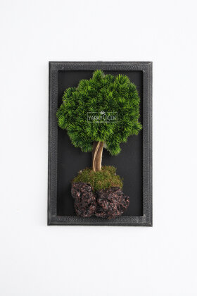 Yapay Premium Serenai Bonsai Ağacı Tablo 38x60 cm Yeşil - 2