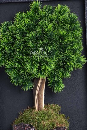 Yapay Premium Serenai Bonsai Ağacı Tablo 38x60 cm Yeşil - 3