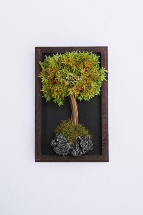 Yapay Premium Sivora Bonsai Ağacı Tablo 38x60 cm Yeşil - 2