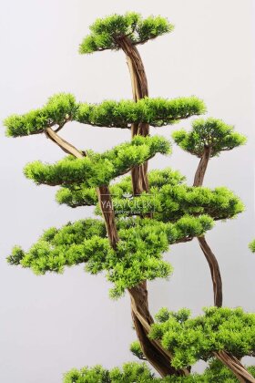 Yapay Ağaç Konik Saksıda Bonsai Ağacı 150 cm Yeşil - 3