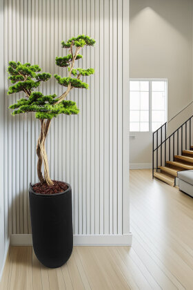 Yapay Ağaç Siyah Saksıda Bonsai Ağacı 190 cm Yeşil - Koçaklar Çiçekçilik