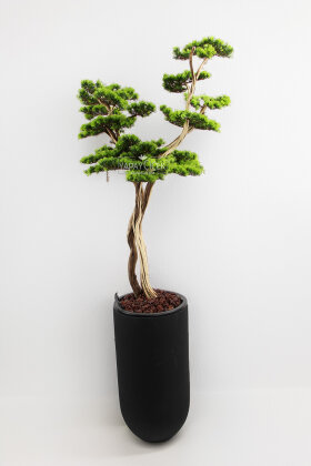 Yapay Ağaç Siyah Saksıda Bonsai Ağacı 190 cm Yeşil - 2