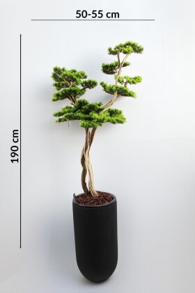 Yapay Ağaç Siyah Saksıda Bonsai Ağacı 190 cm Yeşil - 4