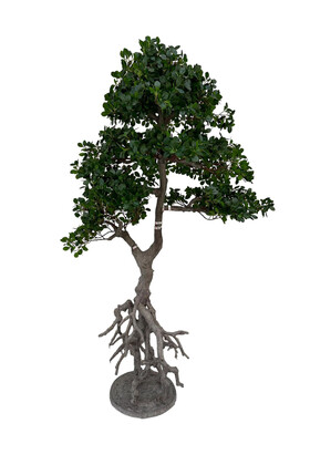 Yapay Lüx Bonsai Ağacı 150 cm KC-3567 - Koçaklar Çiçekçilik