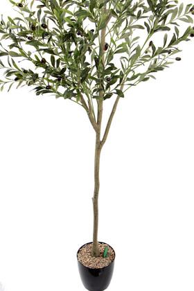 Yapay Zeytin Ağacı Lüx Orjinal Gövde 180 cm - 4