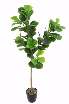 Yapay Ağac Ficus Lyrata 180 cm - Yapay Çiçek Deposu