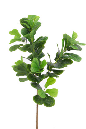 Yapay Ağac Ficus Lyrata 180 cm - 3