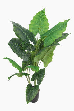 Yapay Ağaç 4 Gövdeli Alocasia Fil Kulağı Ağacı 170(16 Yapraklı) - 3