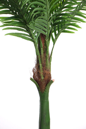 Yapay Lüx Palmiye Ağacı 12 Dev Yapraklı 250 cm - 4