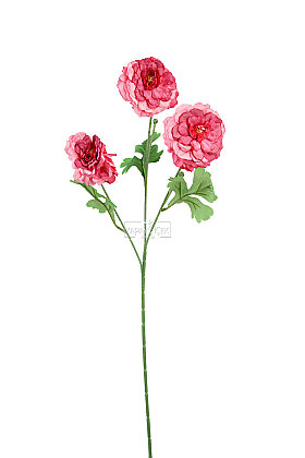 Yapay Çiçek 3'lü Rina Erengül Dalı 70 cm Fuşya - 3