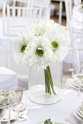 Yapay Çiçek 6lı Kaliteli Saçaklı İri Gerbera Buketi Beyaz - 2
