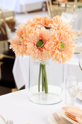 Yapay Çiçek 6lı Kaliteli Saçaklı İri Gerbera Buketi Somon - 2