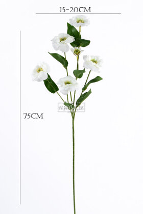 Yapay Çiçek 6lı Taçlı Kır Çiçeği 75 cm Beyaz - 3