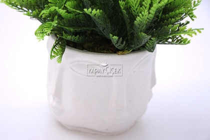 Buda Saksıda Yapay Mazı Bitki Tanzimi 20 cm (Beyaz) - 2