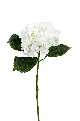 Yapay Çiçek Islak Awai Ortanca Dalı 55 cm Beyaz - 3