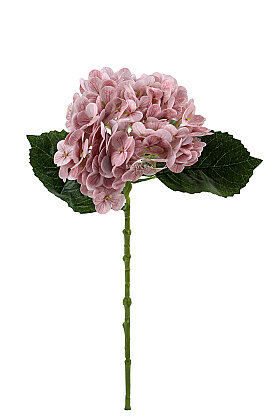 Yapay Çiçek Islak Awai Ortanca Dalı 55 cm Gül Kurusu - 3
