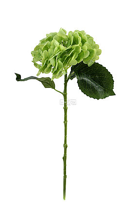 Yapay Çiçek Islak Awai Ortanca Dalı 55 cm Yeşil - 3