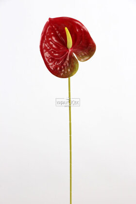 Yapay Islak Tekli Antoryum Dalı 60 cm Bordo - 2