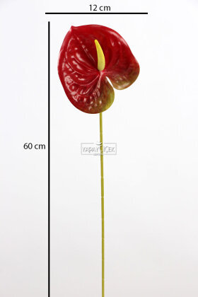 Yapay Islak Tekli Antoryum Dalı 60 cm Bordo - 3