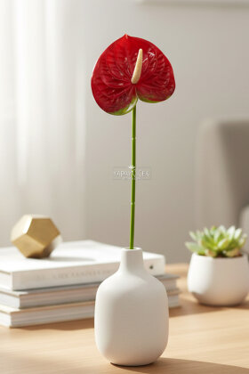 Yapay Islak Tekli Antoryum Dalı 60 cm Bordo - 2